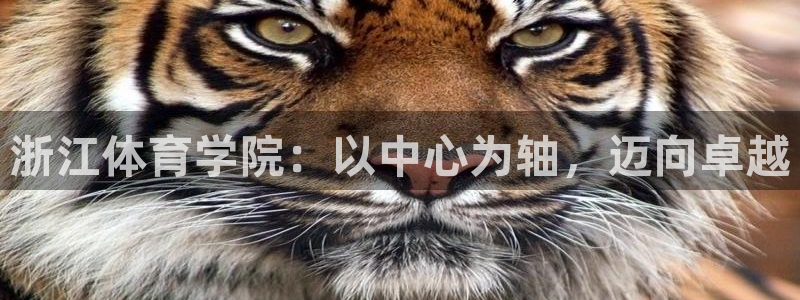xc体育app官方网站：浙江体育学院：以中心为轴，迈向卓越