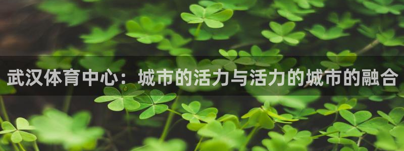 xc体育app官方网站：武汉体育中心：城市的活力与活力的城市的融合
