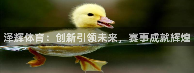 xc体育：泽辉体育：创新引领未来，赛事成就辉煌