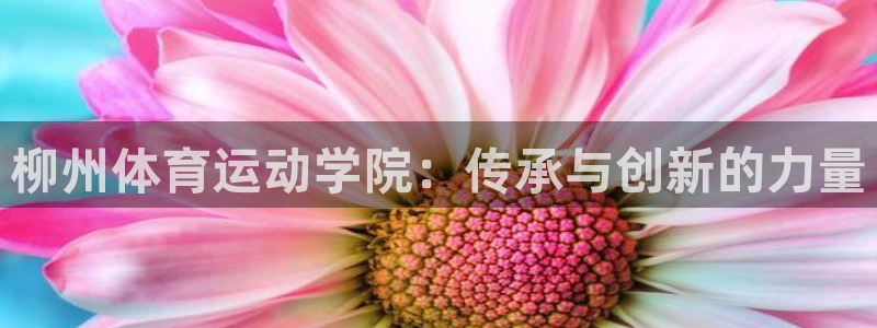 xc体育：柳州体育运动学院：传承与创新的力量