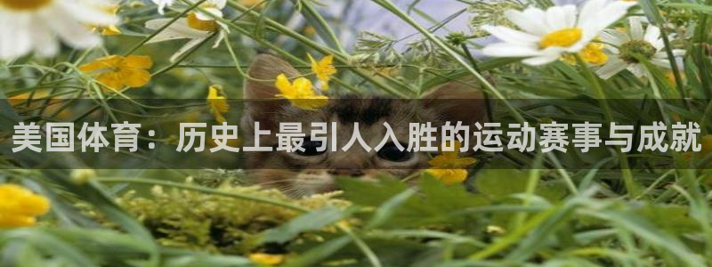 xc体育app官方网站：美国体育：历史上最引人入胜的运动赛事与成就
