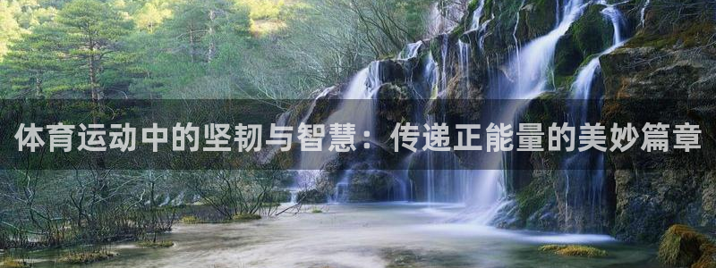 xc体育：体育运动中的坚韧与智慧：传递正能量的美妙篇章