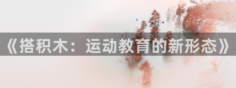 xc体育app官方网站：《搭积木：运动教育的新形态》