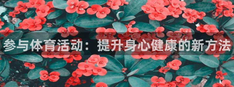xc体育：参与体育活动：提升身心健康的新方法