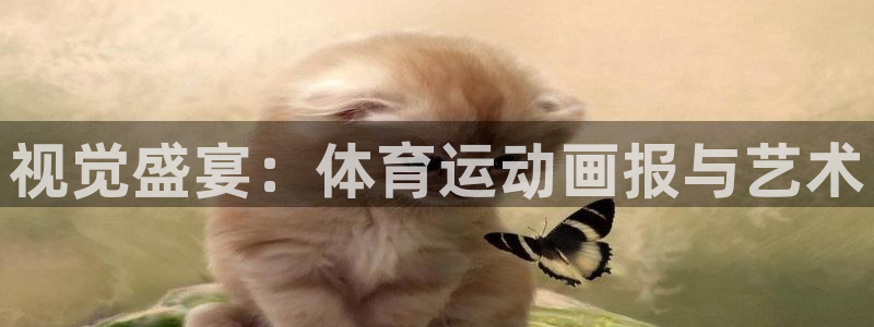 xc体育：视觉盛宴：体育运动画报与艺术