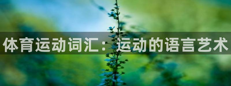 xc体育：体育运动词汇：运动的语言艺术