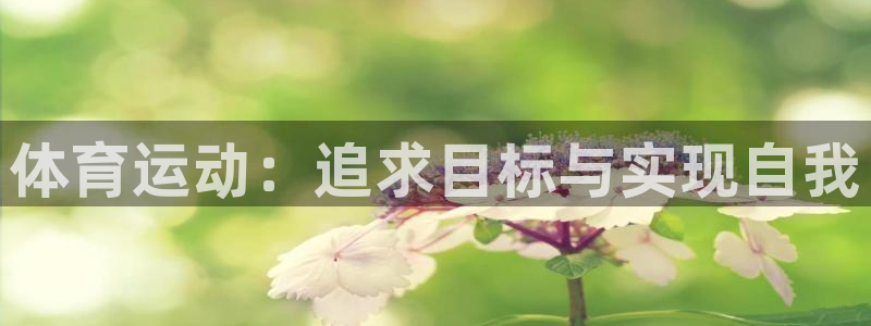 xc体育app官方网站：体育运动：追求目标与实现自我